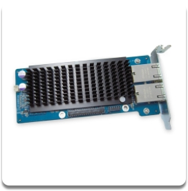 LAN-10G2T-D